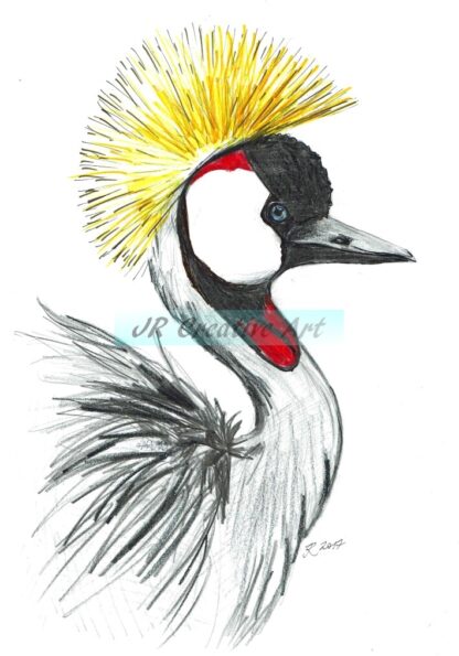 Gold crested crane sketch